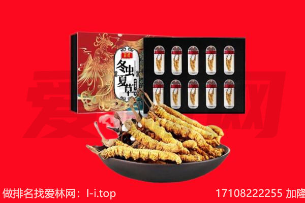 镇江回收虫草.jpg